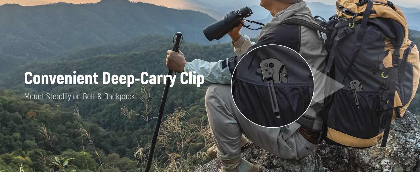 Convenient Deep-Carry Clip